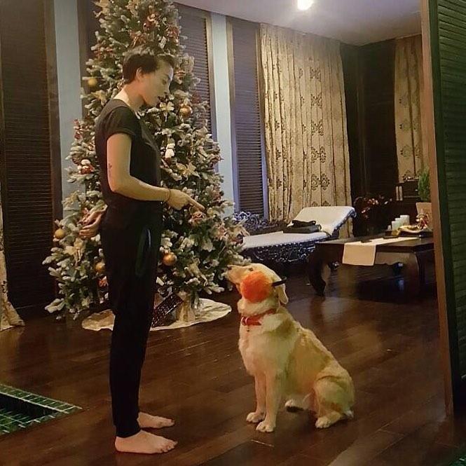 Tin sao Việt: Khí chất Tăng Thanh Hà mặc màu đen vẫn ngời ngời chói lóa-11