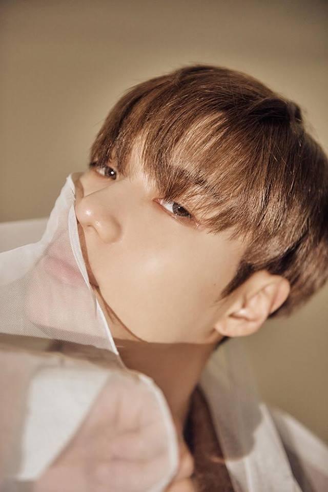 Sao Hàn 7/12: Mỹ nhân cười đẹp nhất Hàn Quốc khoe nhan sắc gây thương nhớ-4