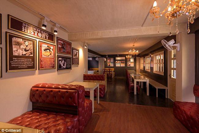 Bên trong khách sạn sang trọng, lộng lẫy cho chó đầu tiên ở Ấn Độ-4