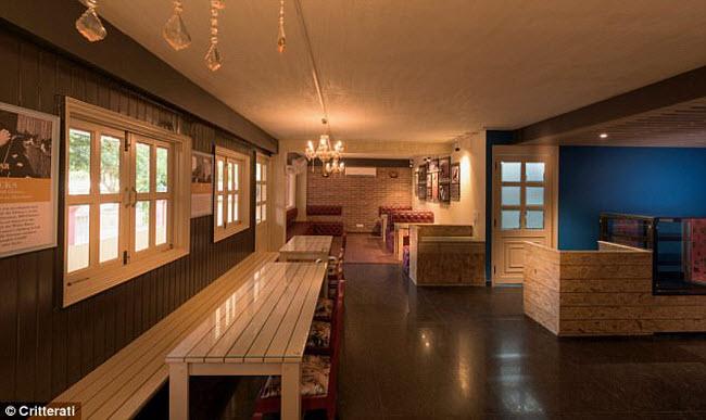 Bên trong khách sạn sang trọng, lộng lẫy cho chó đầu tiên ở Ấn Độ-5