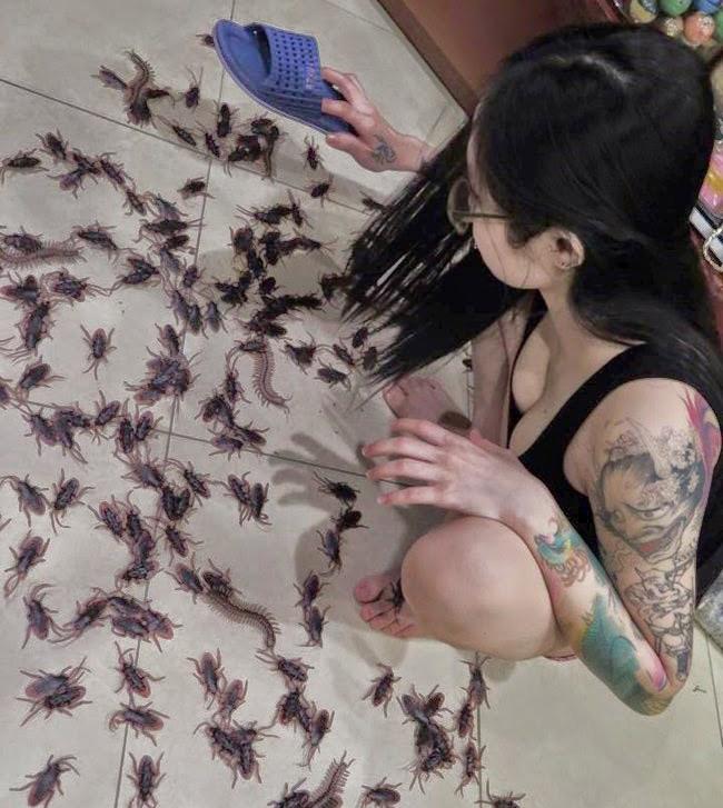 Chết ngất với các cô nàng cá tính nhất hành tinh-4