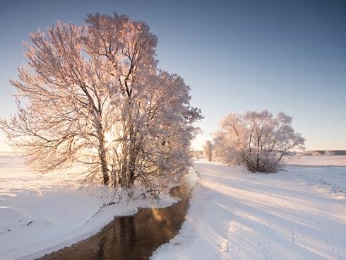 Những hình ảnh Giáng sinh 2017 lung linh sắc màu trên khắp thế giới-14