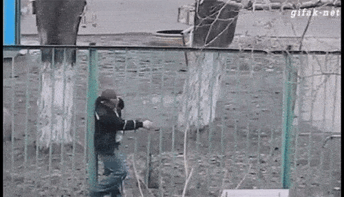 Đời biết đâu được chữ... ngờ-4