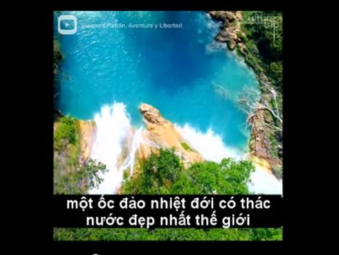 Hoa anh đào trái mùa ở ngôi làng Nhật Bản-11