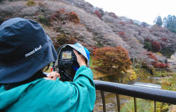 Hoa anh đào trái mùa ở ngôi làng Nhật Bản-4