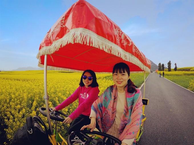 Biển hoa cải vàng ngút tầm mắt ở Trung Quốc-6