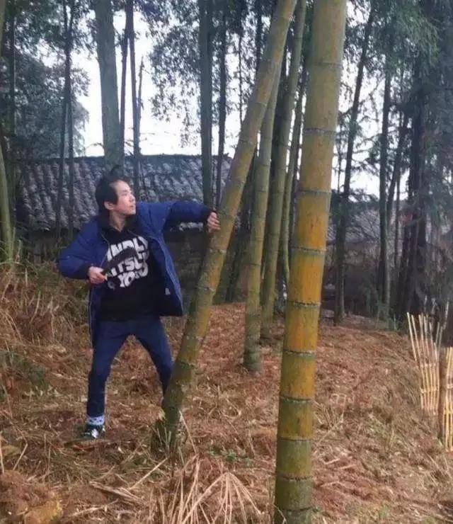 Góc đáng yêu của sao Hoa ngữ sau những lung linh: Triệu Lệ Dĩnh lấm lem bùn đất, Hồ Ca xắn tay áo nấu cơm-5