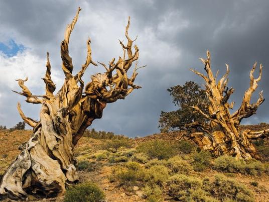 Những điểm sống ảo mùa Giáng sinh chưa bao giờ cũ ở Hà Nội-7