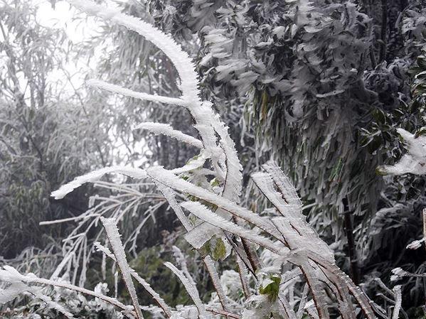 Dự báo thời tiết 15/12: Miền Bắc rét buốt, xuất hiện băng giá-2