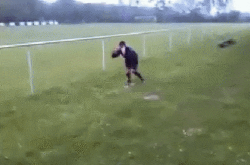 Hình ảnh ngớ ngẩn của những kẻ say xỉn-3