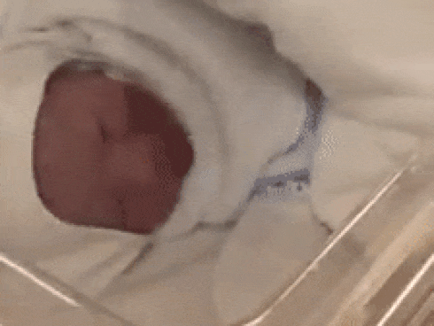 Lộ diện tình mới của Kim Nhã BB&BG sau 1 tháng công khai ly hôn chồng cũ-11