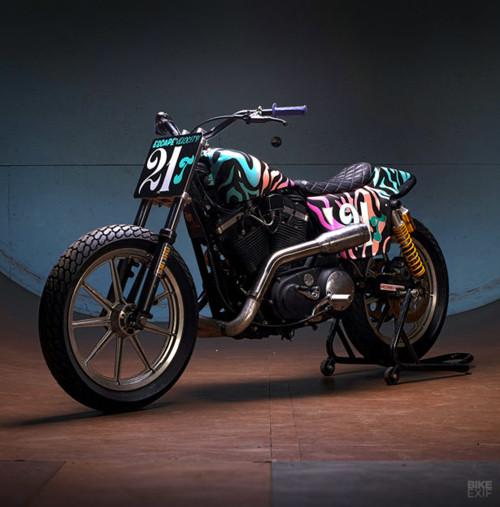 Ngắm chiếc flat tracker đồ họa ngựa vằn cực tinh tế-2