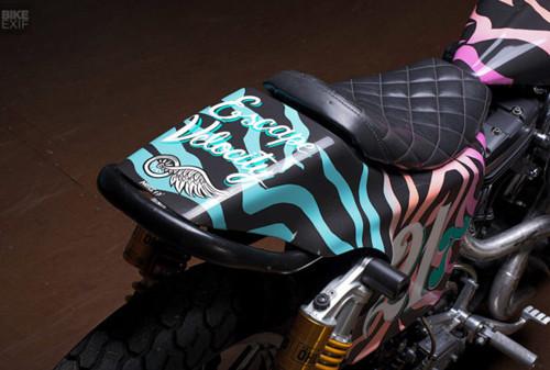 Ngắm chiếc flat tracker đồ họa ngựa vằn cực tinh tế-4