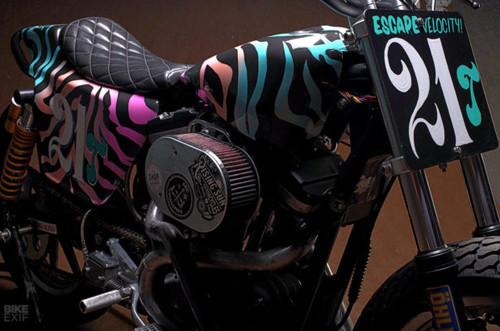 Ngắm chiếc flat tracker đồ họa ngựa vằn cực tinh tế-5