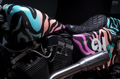 Ngắm chiếc flat tracker đồ họa ngựa vằn cực tinh tế-6