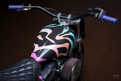 Ngắm chiếc flat tracker đồ họa ngựa vằn cực tinh tế-10