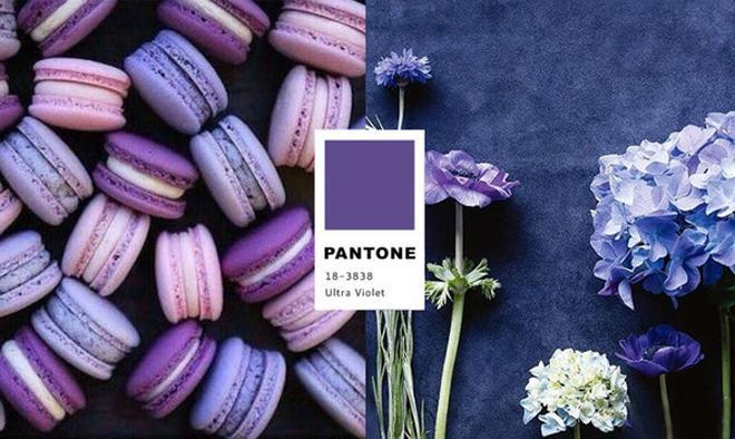 Mặc màu tím không bị chê già và sến như Hồ Ngọc Hà, hãy học nữ thần Elle Fanning!-1