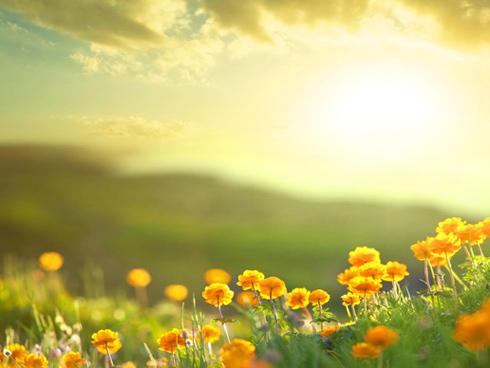 Tử vi chủ nhật ngày 17/12/2017 của 12 cung hoàng đạo