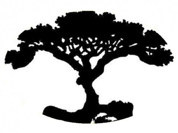 Đoán tính cách thông qua hình ảnh đầu tiên bạn nhìn thấy trong bức tranh-1