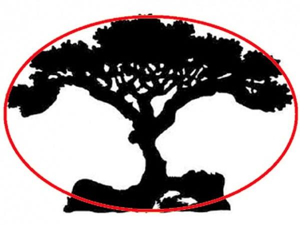 Đoán tính cách thông qua hình ảnh đầu tiên bạn nhìn thấy trong bức tranh-2