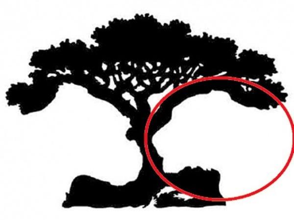 Đoán tính cách thông qua hình ảnh đầu tiên bạn nhìn thấy trong bức tranh-3