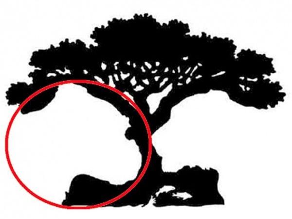 Đoán tính cách thông qua hình ảnh đầu tiên bạn nhìn thấy trong bức tranh-4