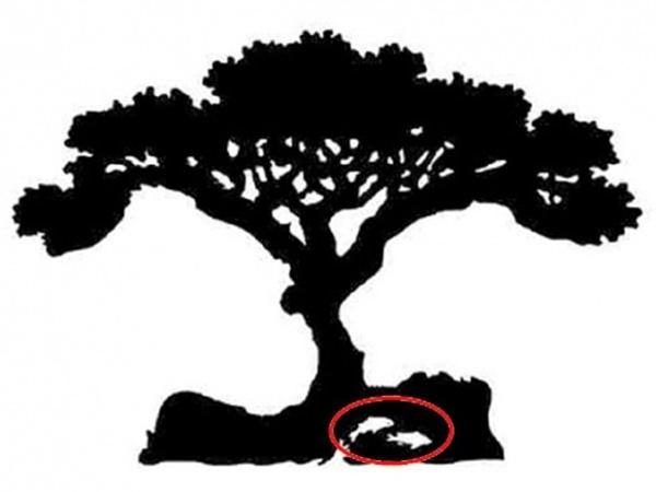 Đoán tính cách thông qua hình ảnh đầu tiên bạn nhìn thấy trong bức tranh-5