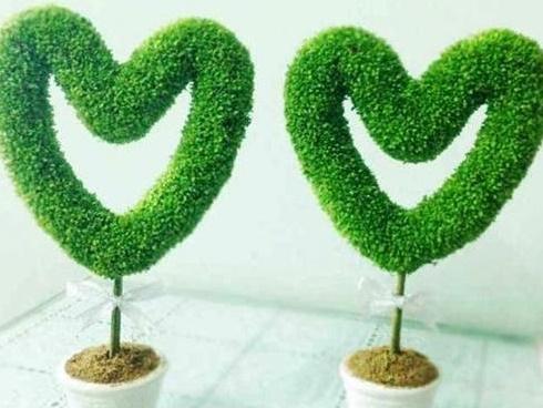 Mẹ ơi con muốn lấy chồng!-2