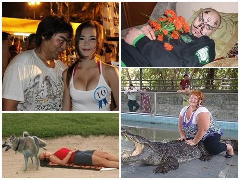 Chú chó tập thể dục nhiệt tình hơn cả hội chị em-1