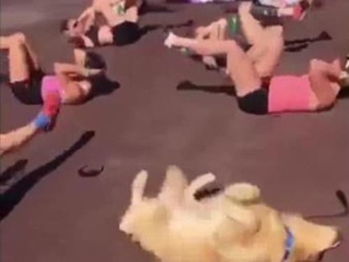 Những pha tai nạn nghề nghiệp cực kỳ hài hước của các ông già Noel-7