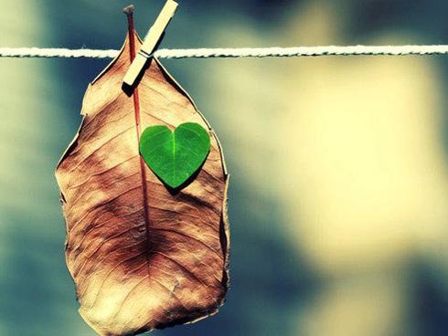 Tử vi thứ 4 ngày 20/12/2017 của 12 cung hoàng đạo