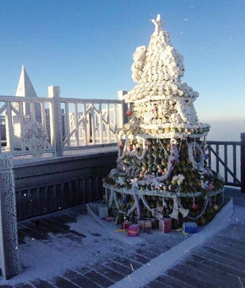 Ba gợi ý đón Giáng sinh xa khói bụi thành phố-3