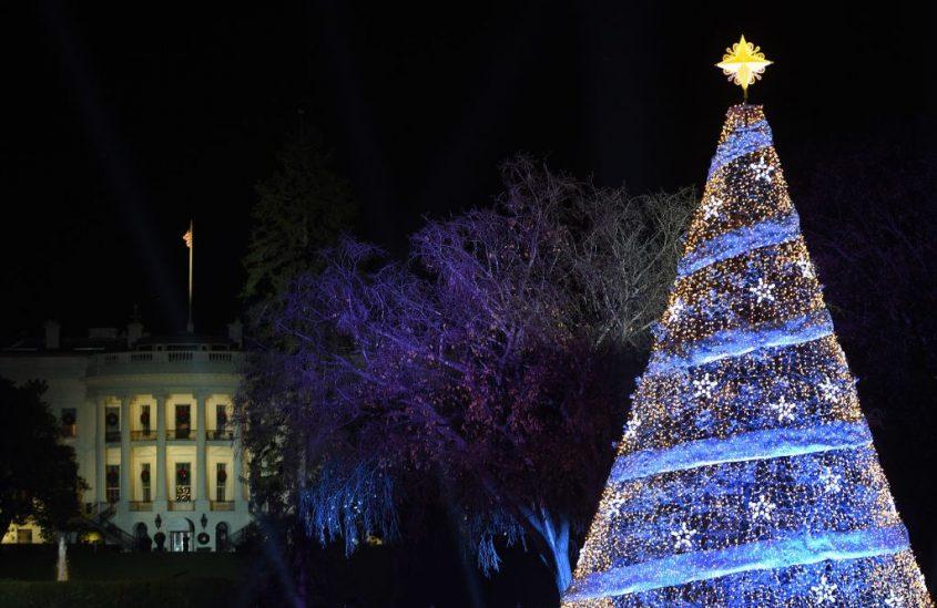 Choáng ngợp 12 cây thông Noel đẹp và khủng nhất năm 2017-9