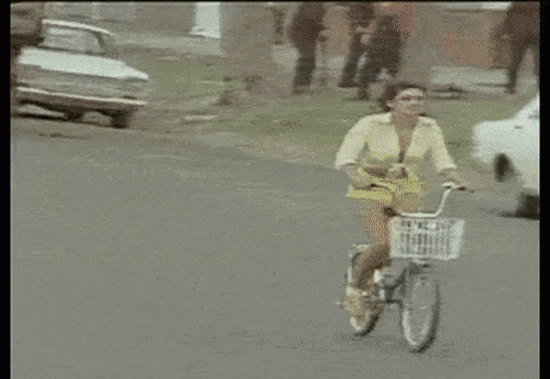 Cách gây ấn tượng với gấu độc nhất vô nhị-4