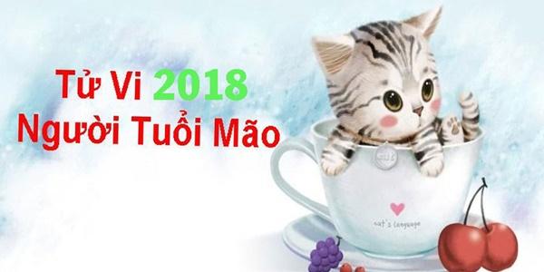 Xem bói tử vi tuổi Ất Mão năm 2018 nữ mạng sinh năm 1975