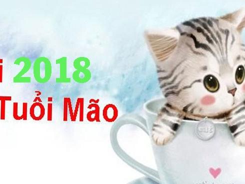 Phong thủy 2018 của tuổi Ất Mão và những điều không thể bỏ qua