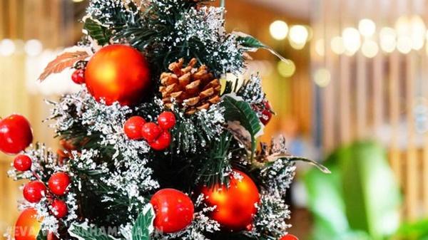 Những quán cafe ngon tha hồ check in, sống ảo ở Hà Nội mùa Noel này-3