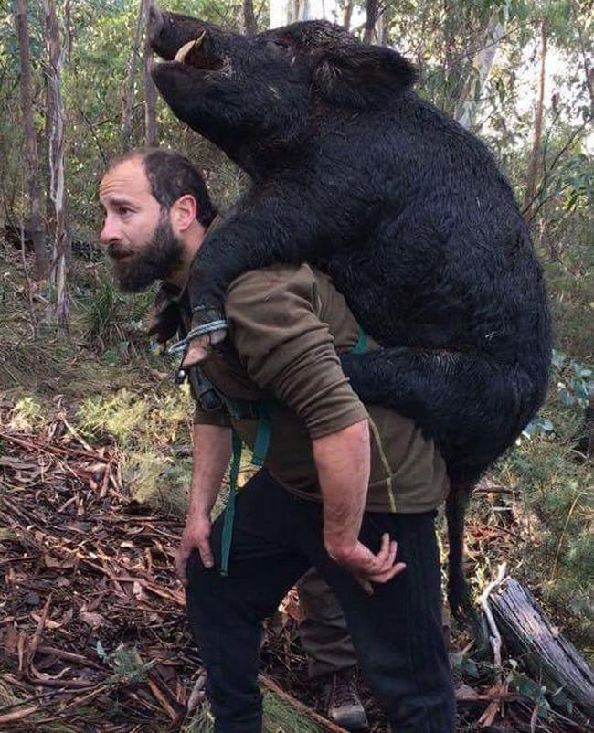 Hành động khiến các quý ông không nhịn nổi... cười-6