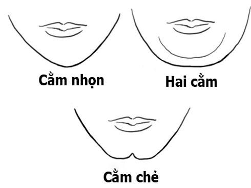 Hình dáng cằm nói gì về tính cách và số mệnh bản thân?