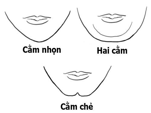 Hình dáng cằm nói gì về tính cách và số mệnh bản thân?-1