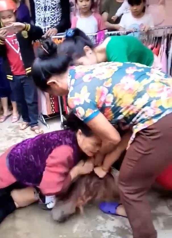 Năm 2017 và những đòn đánh ghen khiến Hoạn Thư cũng phải khóc thét-1