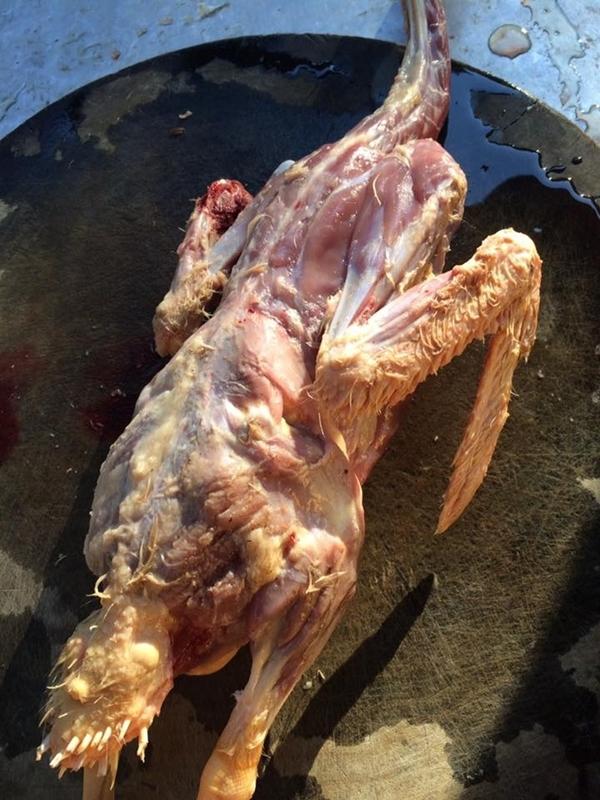 Bữa tiệc Giáng sinh của TRAI VỤNG: Lột da tùng xẻo vịt tan nát vì tưởng làm như gà-1
