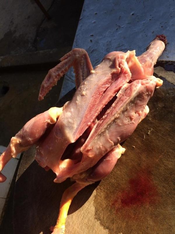 Bữa tiệc Giáng sinh của TRAI VỤNG: Lột da tùng xẻo vịt tan nát vì tưởng làm như gà-2