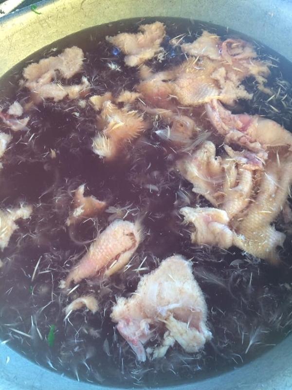 Bữa tiệc Giáng sinh của TRAI VỤNG: Lột da tùng xẻo vịt tan nát vì tưởng làm như gà-4