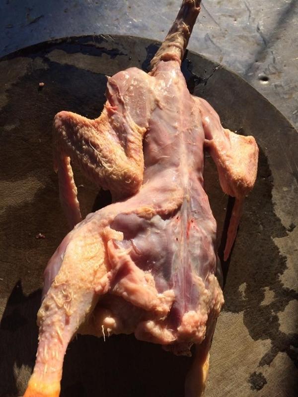 Bữa tiệc Giáng sinh của TRAI VỤNG: Lột da tùng xẻo vịt tan nát vì tưởng làm như gà-3