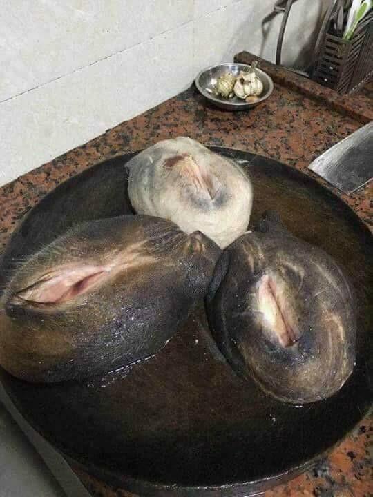 Kinh dị món trứng cá trê rán của vợ vụng: 100 người nhìn thì cả 100 người giật mình thon thót vì hình thù quá nhạy cảm-2