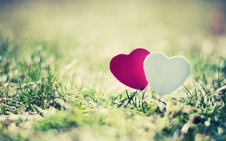 Tử vi tuần mới của 12 cung hoàng đạo từ ngày 25/12 đến 31/12/2017-2