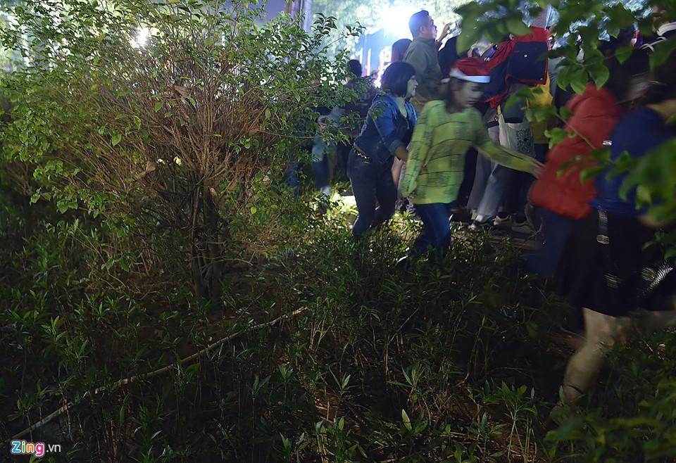 Trèo cây, giẫm đạp bồn hoa xem ca nhạc đêm Noel-4