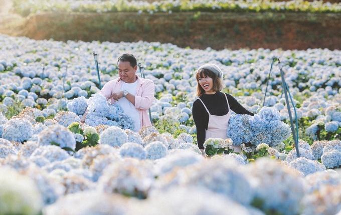 10 điểm đến trong nước hấp dẫn giới trẻ nhất năm 2017-5