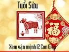 Tử vi tuổi Sửu năm Mậu Tuất 2018: có khả năng kiếm được rất nhiều tiền